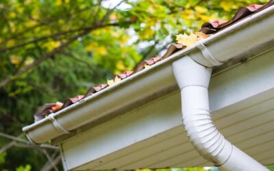 Gutter Cleaning: How Often And When Should You Get Them Done?