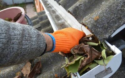 Reasons To Hire A Professional Gutter Cleaning Service